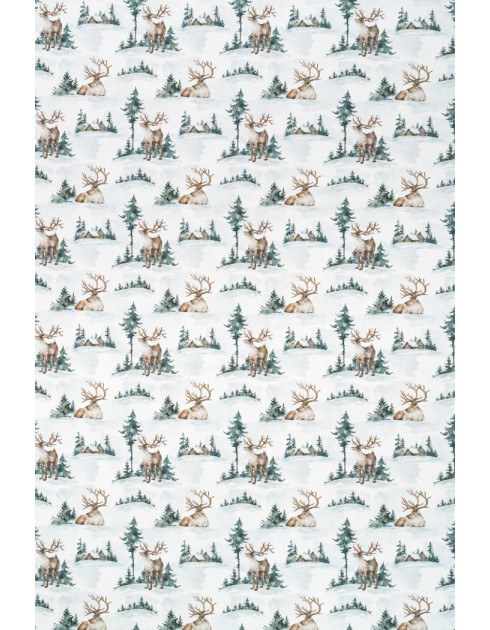 Tunturissa luomutrikoo